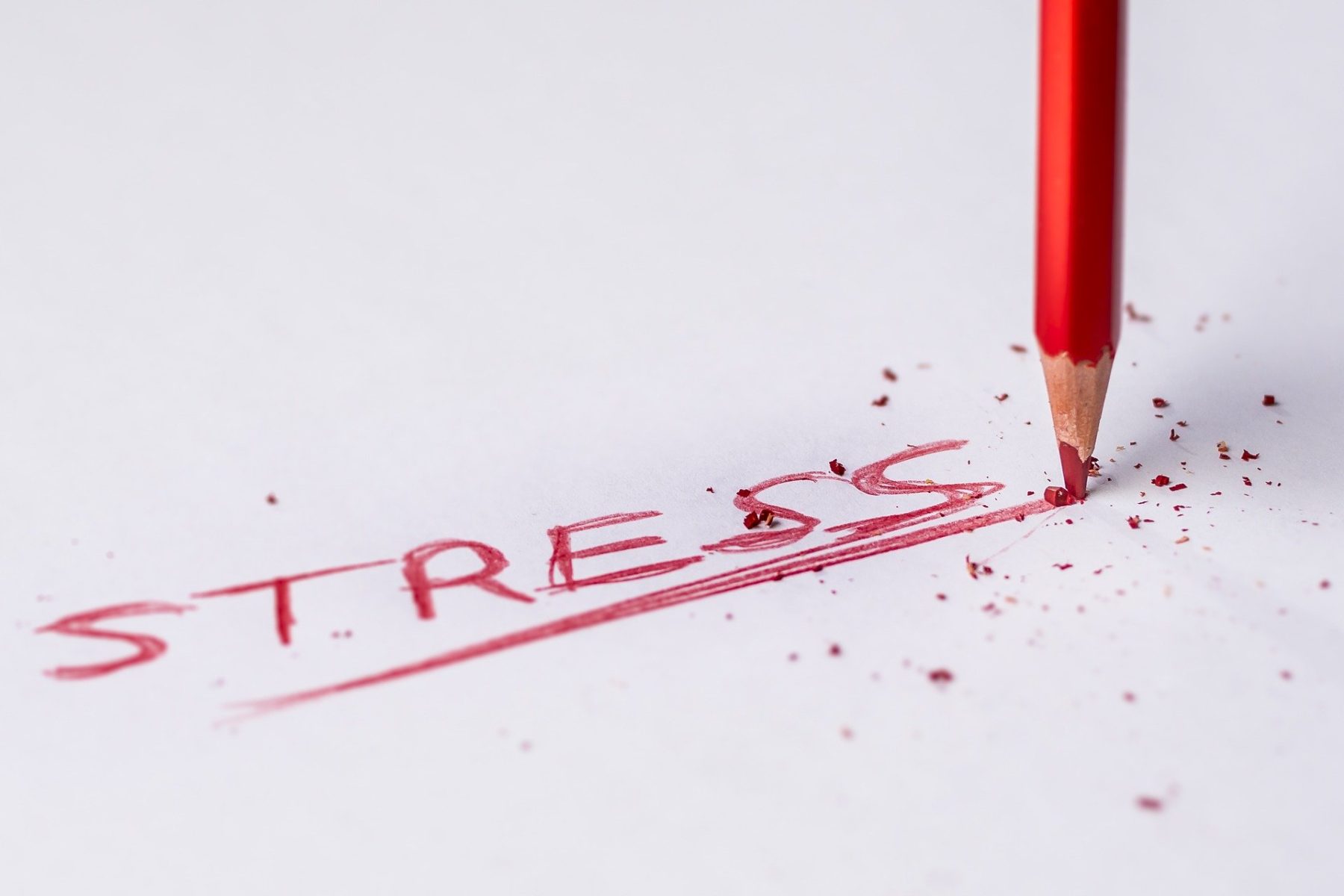 cortisolo stress e alimentazione